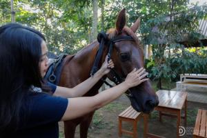 Ratu Roso Resort