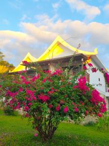 Vangvieng Lina hotel