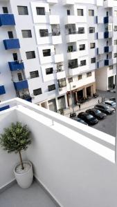 Ideal apartment for vacations and business