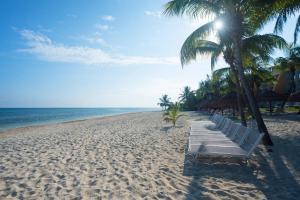 Zel Cozumel