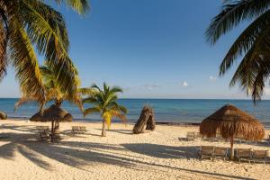 Zel Cozumel