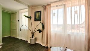 Doctors Residence