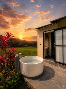BirdNest Glamping