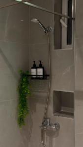 Gjirokastra Design Apartments