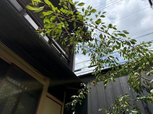 Luten Kyoto Gojo