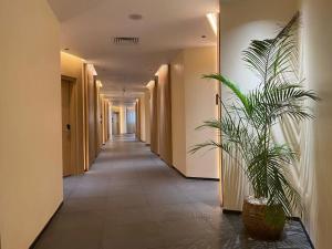 Palm village Hotel