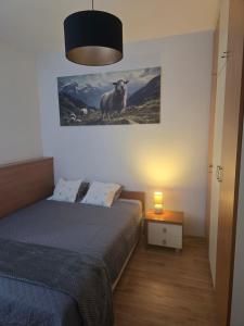 Oferta noclegów 17149440