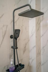 Oferta noclegów 17149505