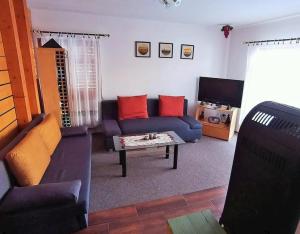Oferta noclegów 17149528
