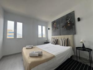 Oferta noclegów 17149556