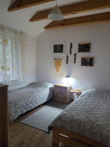 Domki Strumieniowa