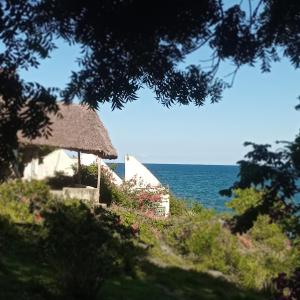 Diani Beach Camping