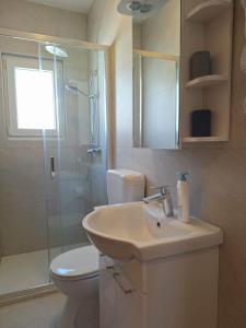 ANTE Accommodation