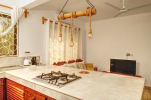 Dacha Diani