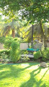 Dhanora Dynasty Resort