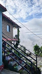 Indra home stay kasardevi