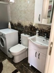 Oferta noclegów 17150652