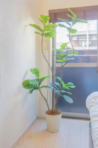 Haku Loft Hakata 105