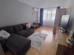 Apartament Roman