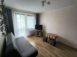 Oferta noclegów 17151078