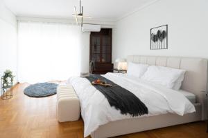 Oferta noclegów 17151222