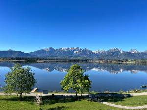 Hotel Fischer am See