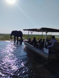 7 roomed boutique safari Lodge-Chobe Sunset Chalets