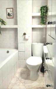 Apartament nad Soliną