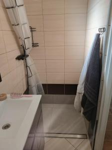 Oferta noclegów 17151851