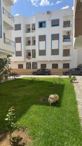 App Youri Home Prestige - Rimal, plage Martil