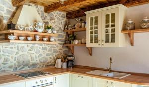 Rustic Villa Lusa