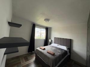 La Casa 49