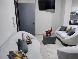 Oferta noclegów 17152469