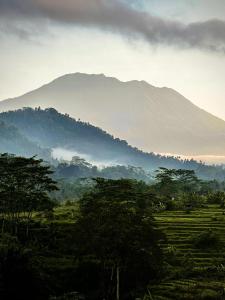 SARAYA Bali