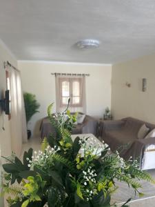 Oferta noclegów 17152537