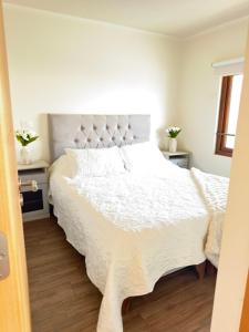 Oferta noclegów 17152674