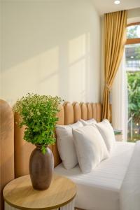 Scabiosa Dalat Home