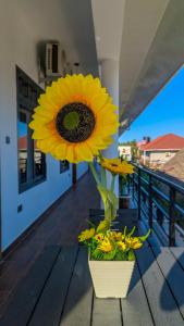 Comfort Apartment Near Paje Beach