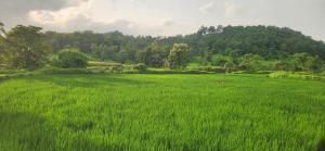 Shreya Farm Stay