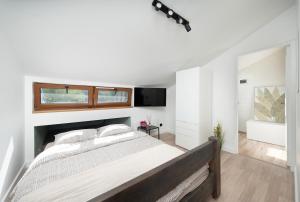 Oferta noclegów 17152960