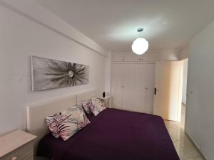 Oferta noclegów 17153407