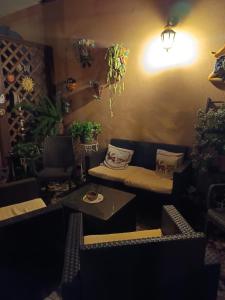 Oferta noclegów 17153443