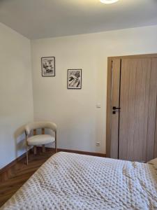 Oferta noclegów 17153702