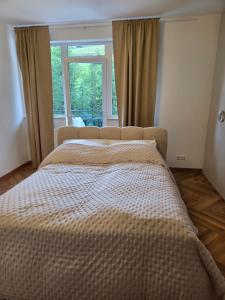 Oferta noclegów 17153702