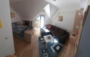 Apartment Mavrovo residence