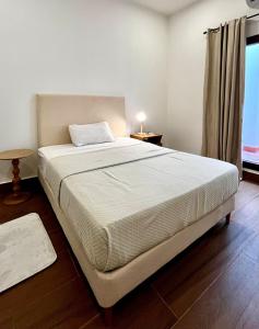 Modern apartment in Asuncion Villa Morra