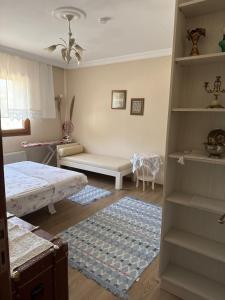 Oferta noclegów 17154129