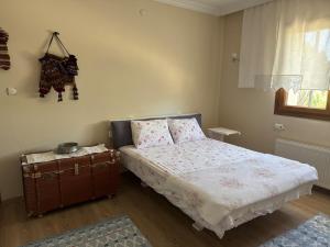 Oferta noclegów 17154129
