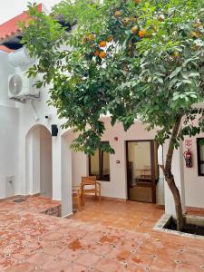 One Bedroom Apartment - Villa Morra