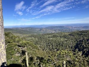 Cabaña San Ramón Alto
